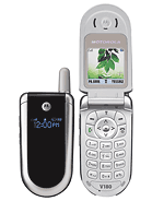 Best available price of Motorola V186 in Main