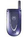 Best available price of Motorola V66i in Main